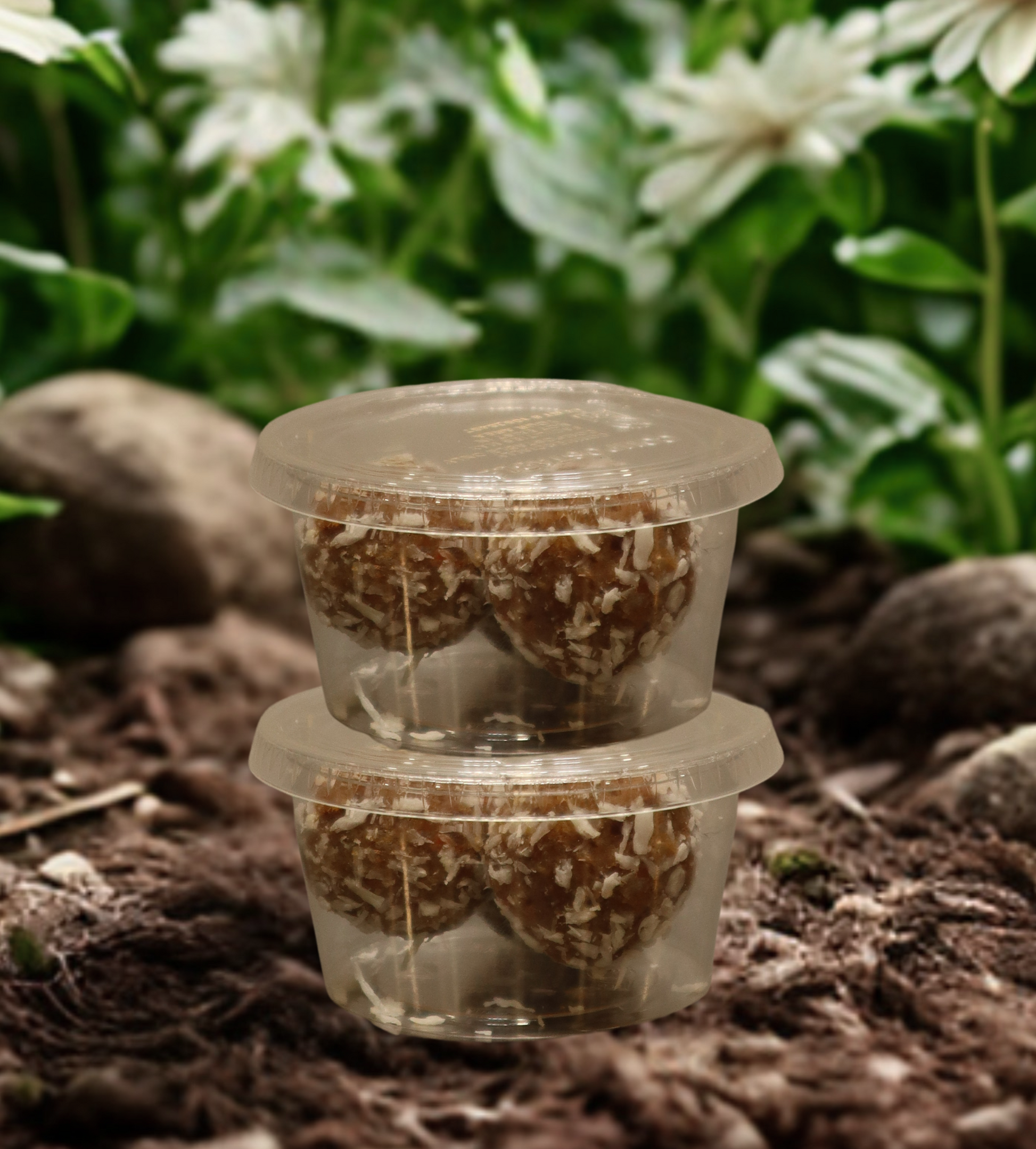Carrot Cake Bites