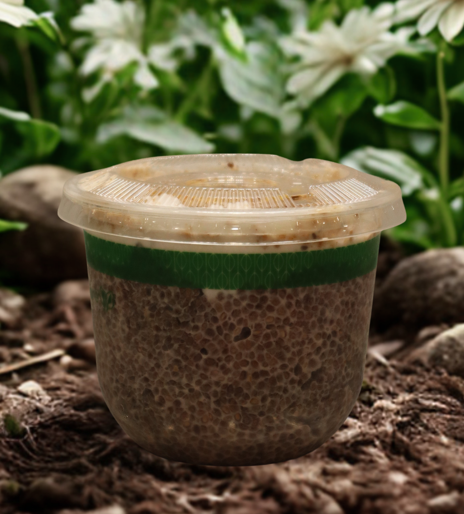 Chia Pudding