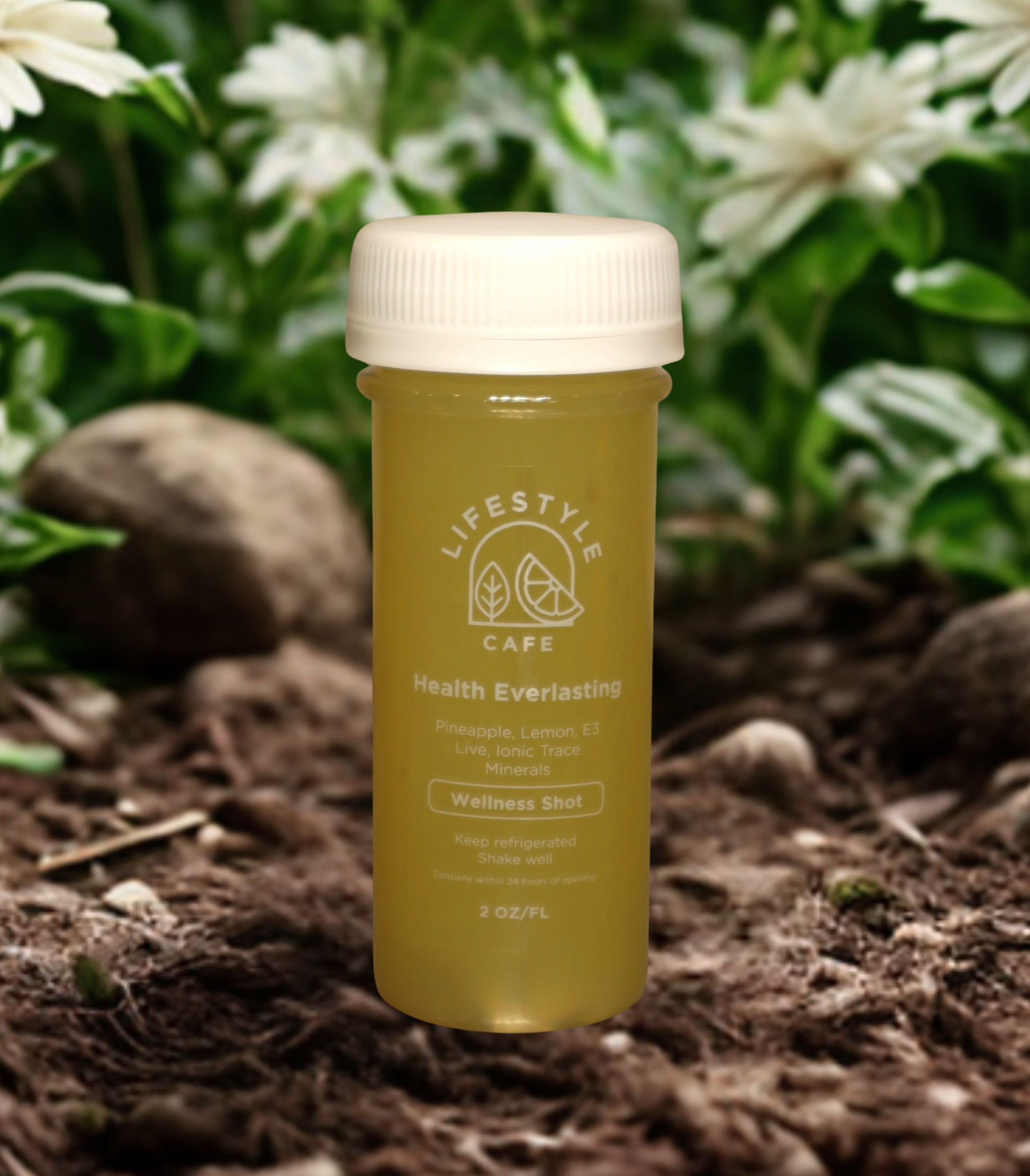 Health Everlasting