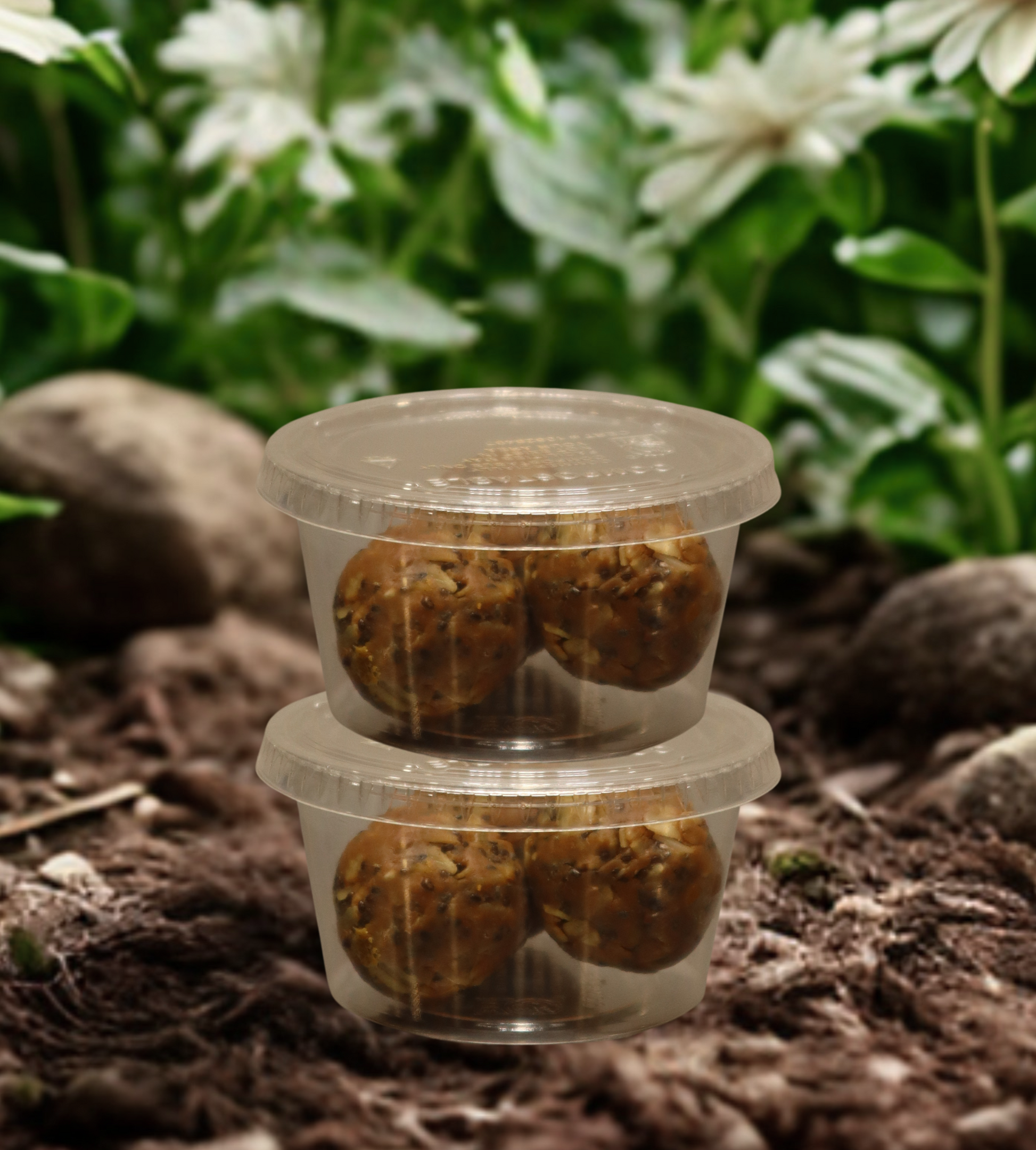 PB Protein Bites